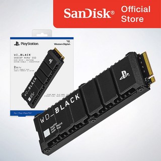 WD 공식인증정품 BLACK SN850P 히트씽크 NVMe SSD for PS5 Consoles 2TB 소니공식인증, SN850P/2테라