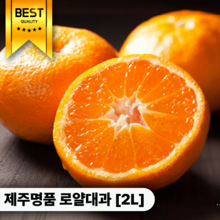 [가성비한정판매] 제주명품 쥬스용 고당도 귤, 1개, 10kg 특품대과(2L)