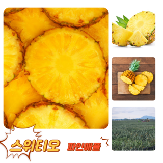 [굿피플] 파인애플 pineapple 돌파인애플 파인애플통조림 과일 스위티오파인애플 파인에플, 1개, 파인애플 3수