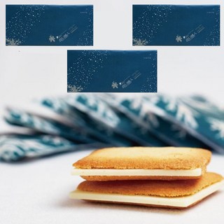 4. 시로이코이비토 ..