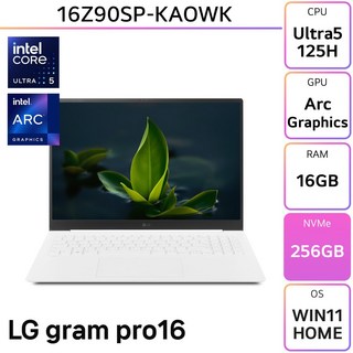 LG전자 LG 그램 프로 16Z90SP-KAOWK