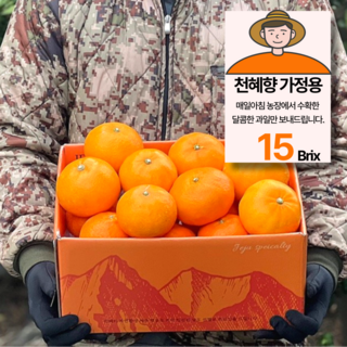 15brix 당도선별 제주 천혜향 가정용, 1박스, 5kg(25과 내외)