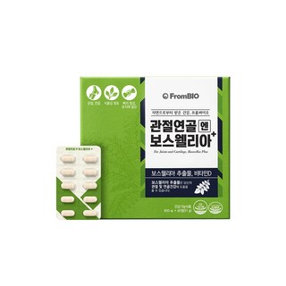 관절보스웰리아