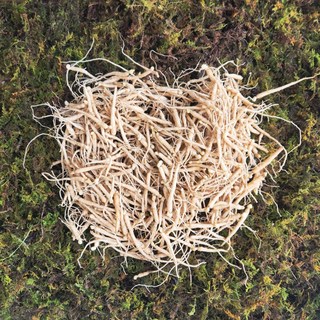 새싹용 인삼 묘삼 1년근 (미선별) 수경재배 및 심는용 1채 750g 1000~1300뿌리, 1개