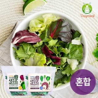 데이밀 자연을담은 샐러드 실속 혼합구성 100g 국내산 야채믹스, 드레싱없음, 7개 데이밀 자연을담은 샐러드 실속 혼합구성 100g 국내산 야채믹스, 드레싱없음, 7개