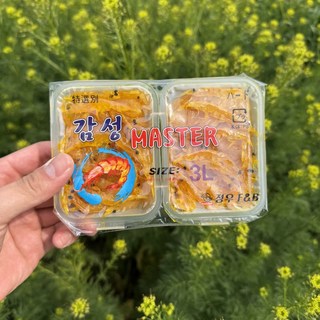 정우크릴 감성 마스타 골드 1개 감성돔 낚시 미끼, 120g