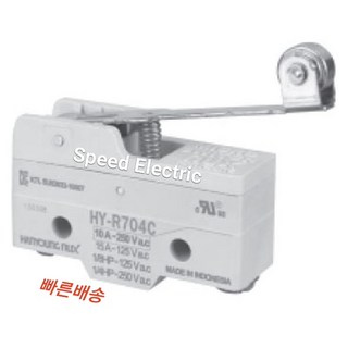 한영넉스 HY-R704C 마이크로스위치 힌지롤러장레버형, 1개