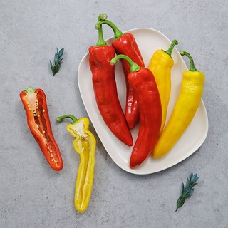 [자연맛남] 김제 프리미엄 트리벨리 파프리카 5kg, 1개