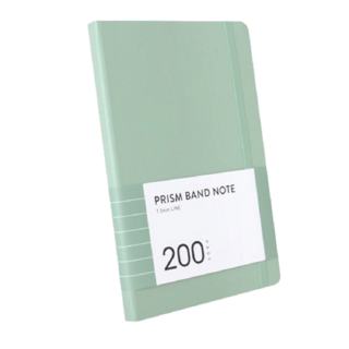 인디고 프리즘 200 밴드노트 라인