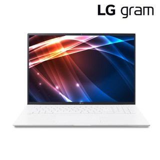 LG전자 LG그램 2021 14Z95N