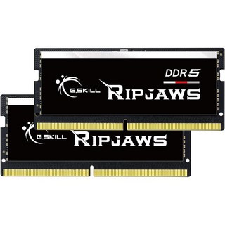 G.SKILL Ripjaws SO-DIMM 32GB(2 x 16GB) 262핀 DDR5 4800(PC4 38400) 노트북 메