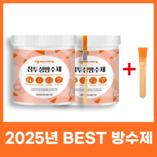 바르다케미칼 침투형 바르는 방수제 셀프 옥상 투명 발수 외벽 욕실, 2개, 300g