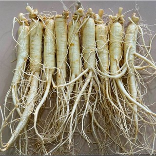 인삼 국내산 원수삼 금산 도매일번지 세척, (특가상품)원수삼750g, 1개