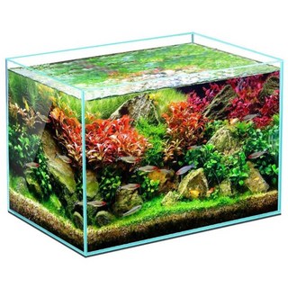 수족관 고화질유리어항 어항, 1개, 흰색