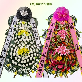 (주)꽃파는사람들 축하화환 근조화환 <전국3시간이내 화환 당일배송>“></div>
<p> </p>
<div style='text-align: center;'>
<h1>(주)꽃파는사람들 축하화환 근조화환 <전국3시간이내 화환 당일배송></h1>
</div>
<p>개업화환 </p>
<h3>꽃으로 전하는 진정한 마음, (주)꽃파는사람들</h3>
<p>꽃. 이 아름다운 자연의 선물은 감정을 전달하는 가장 멋진 방법 중 하나입니다. 기쁨, 슬픔, 축하의 순간, 모든 감정이 꽃을 통해 표현됩니다. (주)꽃파는사람들은 이러한 꽃의 매력을 최대한 활용하여, 특별한 순간에 필요한 화환을 제공합니다. 특히, 축하화환과 근조화환은 사람들의 일상에서 빼놓을 수 없는 아이템이 되었죠. 전국 어디서나 3시간 이내에 당일 배송이 가능하다는 점이 큰 장점입니다.</p>
<h3>당일 배송의 매력, 시기적절한 서비스</h3>
<p>때로는 중요한 일이나 특별한 사건이 갑작스럽게 찾아옵니다. 이런 경우, 선물을 준비하는 데 시간이 부족하다는 것은 누구나 경험하는 문제입니다. (주)꽃파는사람들은 이러한 고객의 고민을 해결하기 위해 당일 배송 서비스를 운영하고 있습니다. 전국 어디서나 3시간 이내에 원하는 장소로 화환을 배달해 주기 때문에, 급한 순간에도 안심하고 주문할 수 있습니다.</p>
<p>이 서비스는 결혼식이나 졸업식과 같은 축하 행사뿐만 아니라, 장례식과 같이 슬픈 자리에서도 특별한 의미를 가지게 됩니다. 사랑하는 사람을 잃었을 때, 적절한 근조화환을 전하는 것은 고인의 기억을 기리고, 슬픔을 나누는 방법이 됩니다. 그래서 (주)꽃파는사람들은 언제든지 고객들이신속하게 화환을 준비할 수 있도록 돕고 있습니다.</p>
<h3>다양한 화환의 종류와 특징</h3>
<p>(주)꽃파는사람들에서는 축하화환과 근조화환을 포함해 다양한 종류의 화환을 제공합니다. 각 화환은 특정한 의미와 함께 세심하게 디자인되어 있습니다. 축하화환은 주로 생일, 결혼식, 개업식 등 기쁜 순간에 사용됩니다.</p>
<p>이 화환들은 화려한 꽃들로 장식되어 축제의 분위기를 더해줍니다. 고객의 요구에 맞춰 어떤 색상과 꽃을 원하시는지 물어보고, 맞춤형 디자인을 제공하기도 하죠. 고객의 취향을 반영한 화환은 받는 사람에게 잊지 못할 감동을 선사합니다.</p>
<p>반면, 근조화환은 슬픔을 표현하는 데 사용됩니다. 이 화환은 주로 장례식장에서 고인을 추모하기 위해 사용되며, 고인의 삶을 기리는 메시지를 담고 있습니다. (주)꽃파는사람들은 고객의 요구에 맞춰 적절한 디자인과 메시지를 제공합니다. 슬퍼하는 고객의 마음을 이해하며, 존경과 애도를 담아 세심하게 준비합니다.</p>
<h3>고객 맞춤형 서비스, 진정한 소통의 시작</h3>
<p>(주)꽃파는사람들은 고객과의 소통에 큰 가치를 둡니다. 각 고객의 요구는 다르기 때문에, 맞춤형 서비스가 필수적입니다. 먼저 고객의 이야기를 듣고, 그들의 필요를 충분히 이해합니다. 이런 과정을 통해 더욱 특별한 화환을 제공하고자 하는 마음이죠.</p>
<p>온라인 플랫폼을 통해 손쉽게 주문할 수 있는 시스템도 도입하여, 바쁜 현대인들이 간편하게 이용할 수 있도록 하고 있습니다. 홈페이지에서는 다양한 화환의 선택지를 제공하며, 곧바로 원하는 화환을 선택하고, 배송 정보를 입력하는 것이 가능합니다. 고객이 원하는 모든 요구를 충족시키는 것이 목표입니다.</p>
<h3>신뢰와 품질, 고객 만족의 바탕</h3>
<p>품질 좋은 꽃은 고품격 화환의 기본입니다. (주)꽃파는사람들은 신선한 꽃만을 사용하여 꽃의 아름다움과 지속성을 보장합니다. 철저한 품질 관리로 고객이 기대하는 것 이상의 제품을 제공합니다. 화환이 도착했을 때, 꽃이 시들지 않고 생생한 상태로 있는 것은 고객에게 큰 만족을 줍니다.</p>
<p>뿐만 아니라, 배송 직원들은 프로페셔널한 태도로 고객에게 최상의 서비스를 제공합니다. 배송 과정에서 신중하고 안전하게 화환을 전달하여, 고객의 기대에 부응하는 것이 중요합니다.</p>
<h3>특별한 날을 더욱 빛내주는 꽃</h3>
<p>결혼식, 졸업식, 개업식 등 특별한 날에 화환은 그 자리를 더욱 특별하게 만들어 줍니다. 이 순간들을 기억하는 데 있어 꽃은 중요한 역할을 합니다. (주)꽃파는사람들에서는 이러한 특별한 날을 위해 세심하게 준비된 화환으로, 고객의 기념일을 축하합니다. 화환은 단순히 장식물의 역할을 넘어서, 주인공의 감정을 대변하는 중요한 요소입니다.</p>
<p>고객의 기념일이나 이벤트에 적합한 화환을 구매하는 것은 정말 중요한 결정입니다. 이를 통해 축하의 마음을 전하고, 그 순간을 잊지 못할 추억으로 만들 수 있죠.</p>
<h3>고인의 추억과 사랑을 담은 화환</h3>
<p>슬픈 날을 맞이할 때, 적절한 근조화환은 고인의 추억을 되새기고 그를 기리는 데 큰 도움이 됩니다. (주)꽃파는사람들은 사랑하는 이를 잃은 고객의 슬픔을 이해하며, 진정한 애도를 담은 화환을 제공합니다. 고인의 생전 좋아했던 꽃들을 사용하면, 그를 기억하는 방법 중 하나가 될 수 있습니다.</p>
<p>근조화환은 단순히 그 자리를 장식하는 역할을 넘어, 고인에 대한 깊은 마음을 담고 있습니다. 정성껏 준비된 화환으로 고인의 마지막 가는 길을 아름답게 장식해주는 것은 누구에게나 큰 위로가 됩니다.</p>
<h3>: 꽃으로 전하는 진정한 소통</h3>
<p>(주)꽃파는사람들은 꽃을 통해 사람들의 마음을 이어주는 특별한 역할을 합니다. 당일 배송 서비스로 고객의 간절한 마음을 즉시 전달하며, 다양한 종류의 화환으로 감정을 표현할 수 있도록 돕고 있습니다. 진정한 소통은 사람들 간의 이해에서 시작되며, 꽃은 이 이해를 돕는 매개체가 됩니다.</p>
<p>결국, 꽃은 우리에게 단순한 물건이 아닌, 감정과 기억을 담은 소중한 존재임을 잊지 말아야 합니다. 이런 마음으로 (주)꽃파는사람들은 앞으로도 고객과 함께할 것입니다.  </p>
<div class=