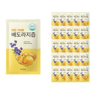 자연식품 자연 그대로 배도라지즙, 100ml, 100개