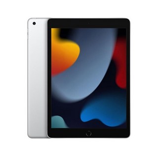 애플중고 아이패드 9세대