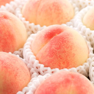 [타임특가] 당도선별 아삭 딱딱이 복숭아, 1개, 4kg (대과 12-14과)