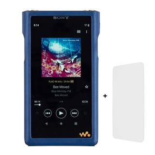 Sony Walkman NW-WM1AM2 케이스
