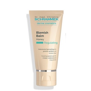 닥터슈라멕 오리지널 슈라멕 블레미쉬 밤 BB크림 40ml, 허니, 1개