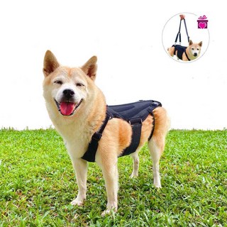 허리 강아지 척추 보조기 노견 보호 치료 중형견 반려견 고관절 기구 펫 다리 재활 교정, 블랙 허리 보호대 + 스트랩 M