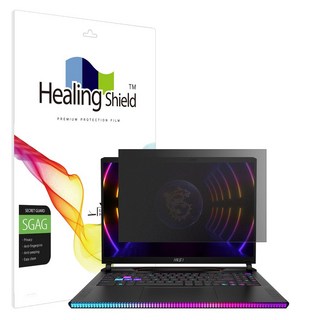 3. 힐링쉴드 MSI..