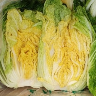 국산 산지직송 고랭지 속노란 90일 배추 괴산 절임배추, 20kg, 11월22일 도착, 1개