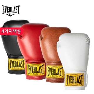 에버라스트 복싱 글러브