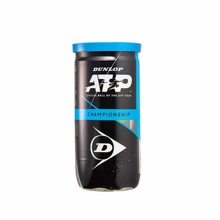던롭 ATP 테니스공 2p/테니스공 캔볼, 2개