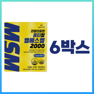 1. 미국산 옵티MS..