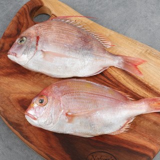 자갈치닷컴 냉동꽃돔 냉동도미 요리실습용 생선, 2kg (5마리 / 24-27cm전후), 6개