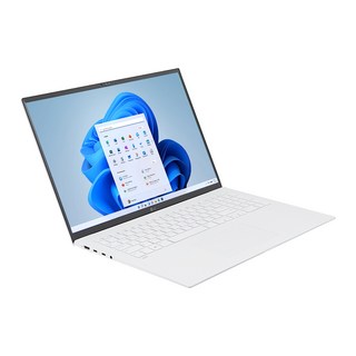 LG전자 2022 그램 17, 17Z90Q-GA56K, 스노우 화이트, 512GB, 코어i5, 16GB, WIN11 Home