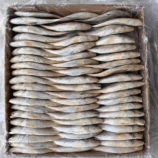 힘찬푸드 민어조기 10KG 80마리전후 긴가이석태, 1박스