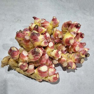 국내산 산지직송 흙생강 1kg, 1개, 단품