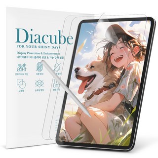 다이아큐브 아이패드 저반사 필름