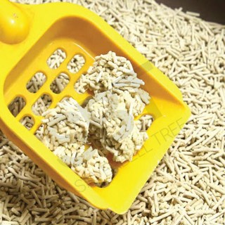 은방울나무 두부모래 녹차 고양이모래두부 고양이두부모래