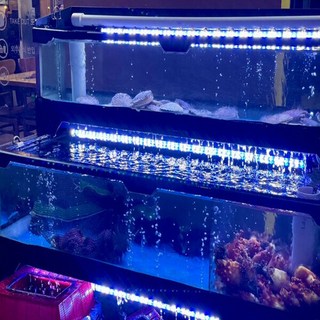 UV LED 아쿠아 조명 수조등 어항조명 MQUV-300, 1개