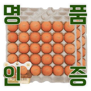 KB farm 계란 명품인증 무항생제 달걀 왕란