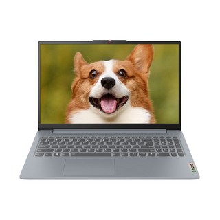 레노버 2024 아이디어패드 슬림 3 15ABR8 라이젠5 라이젠 7000 시리즈, ARCTICGREY, 512GB, 16GB, WIN11 Pro, 82XM00ELKR
