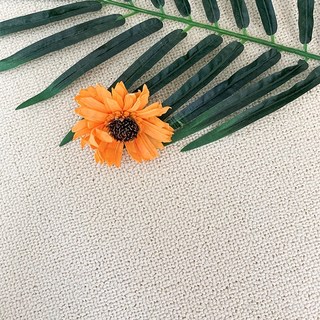 사계절 거실 침실 바닥 매트 먼지 없는 수입 대형 카페트