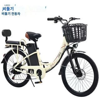 2. 2인승 전기자전..