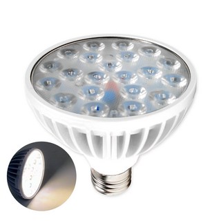LED식물등