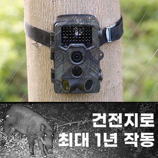 해우카메라 T9 사용 모습