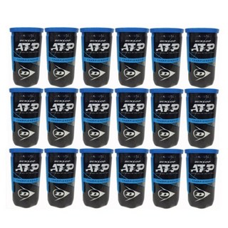 던롭 챔피언십 ATP 테니스공 1캔 x 2p, 던롭 ATP, 18개