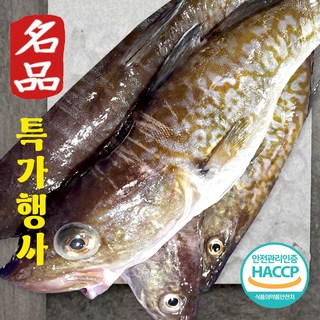 생물 생대구 2kg 비손질 3-5마리 급냉 동해 대구매운탕 고니 알탕 흰살생선 조림 대구탕 대구지리탕 산지직송 당일조업 3 4월제철생선 생&급냉, 4개