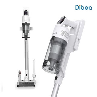 1. 디베아 차이슨 ..