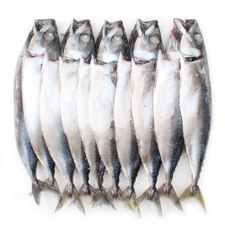 새우몰 국산 간고등어(대) 10미 3kg 자반고등어 국내산 천일염 1%, 1개