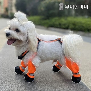 우아한까미 강아지신발 애견슈즈 산책 목줄 가슴줄, 1개