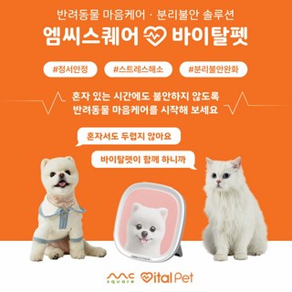 바이탈펫 강아지 고양이 엠씨스퀘어 펫 분리불안 스트레스 정서안정 솔루션 1개 화이트