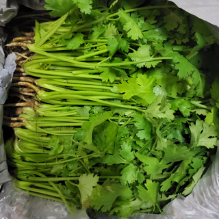 국내산 고수 1kg 나물 향채소 뿌리포함, 1개